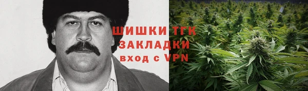 apvp Аркадак
